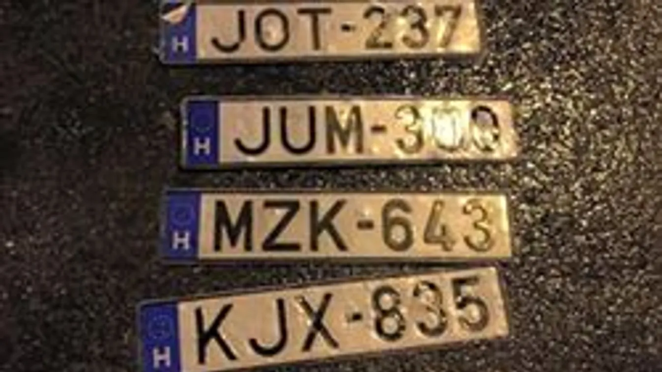 Mit tegyél, ha elveszett a rendszámtáblád a viharban?