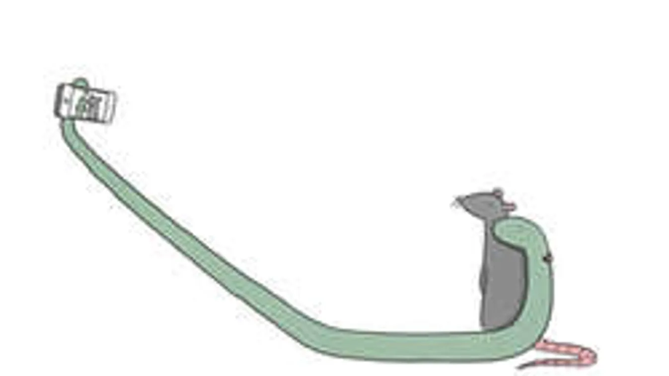 9 kép, ami mindenben visszaadja a hited!