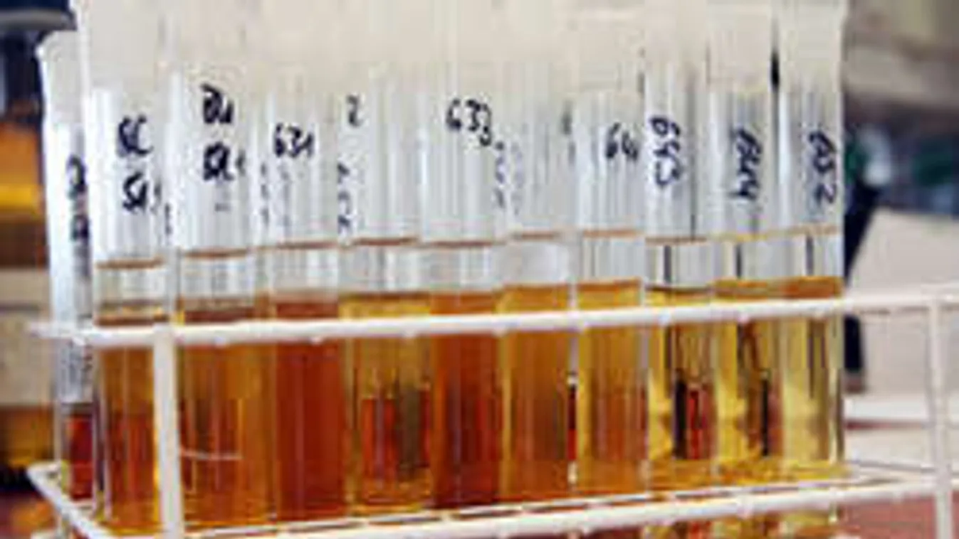 Pisi és szelfibot hozza a frászt a bringásokra