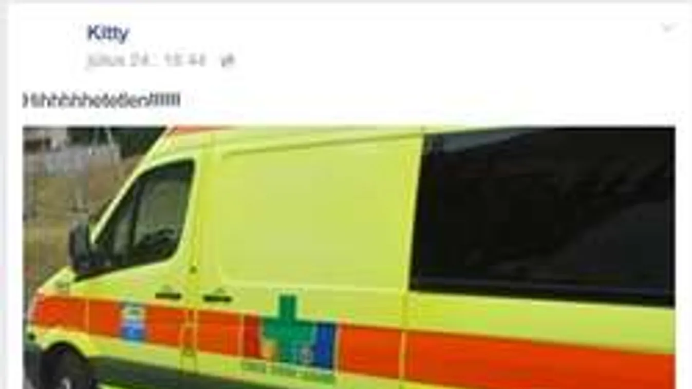 Gyerekek haláláról posztolt a hevesi gyilkos párja. Megérezte a tragédiát?