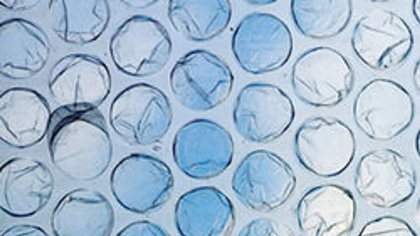 Vége a világnak! A pukifólia nem pukkan többé!