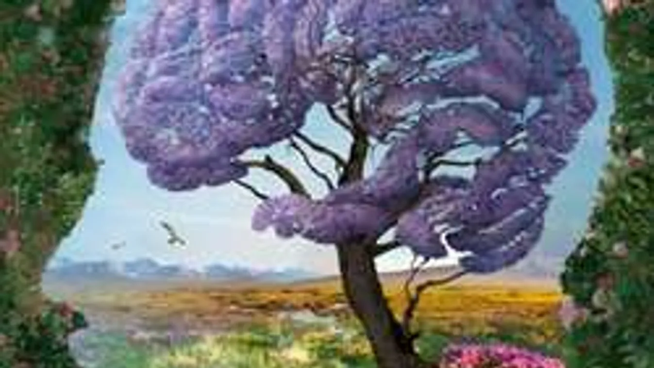 Megint egy kép, amin milliók vesztek össze. Te milyen színt látsz?