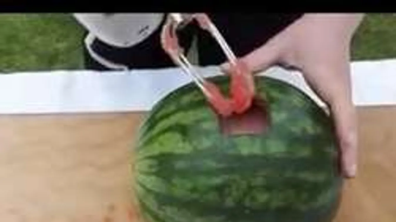 Mit keres a habverő a dinnyében? Nem hiszel a szemednek - Videó