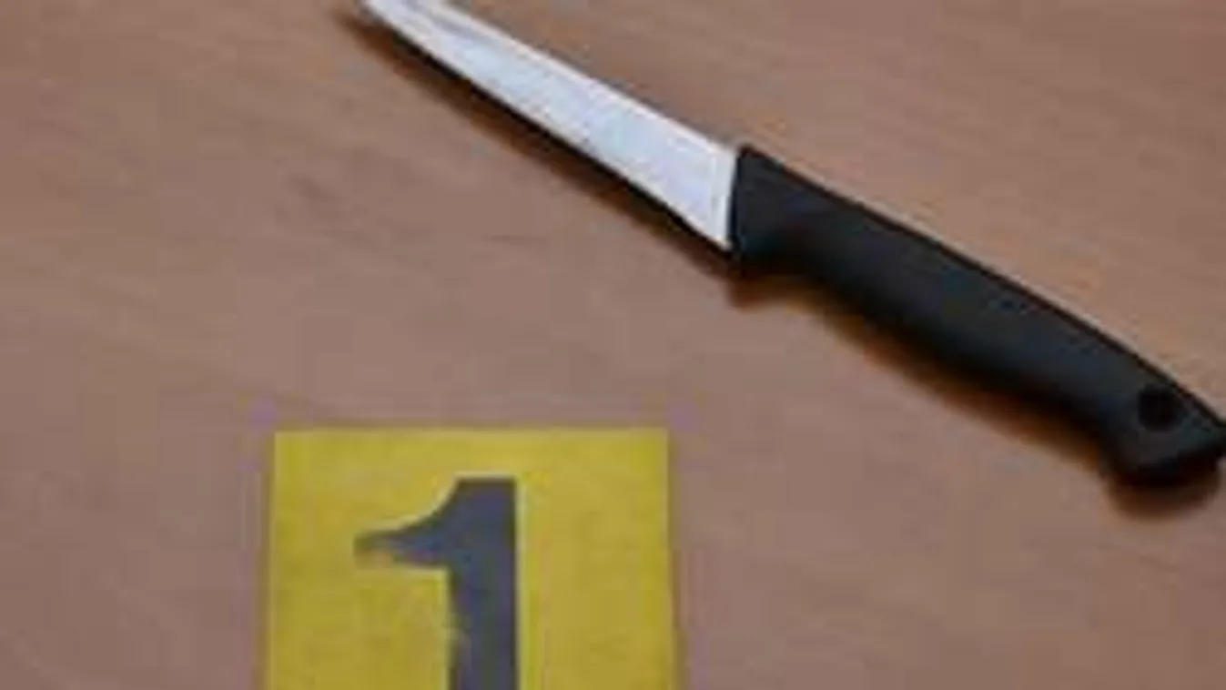 A 6 éves kisfiú késsel védte meg édesanyját Debrecenben