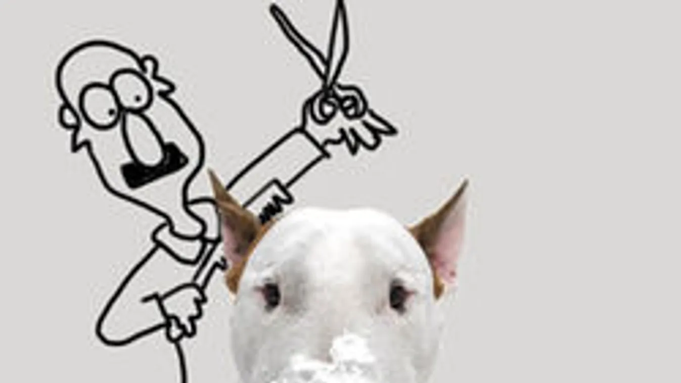 Ezek az elképesztő képek leigázták az internetet: Milliók nézik!