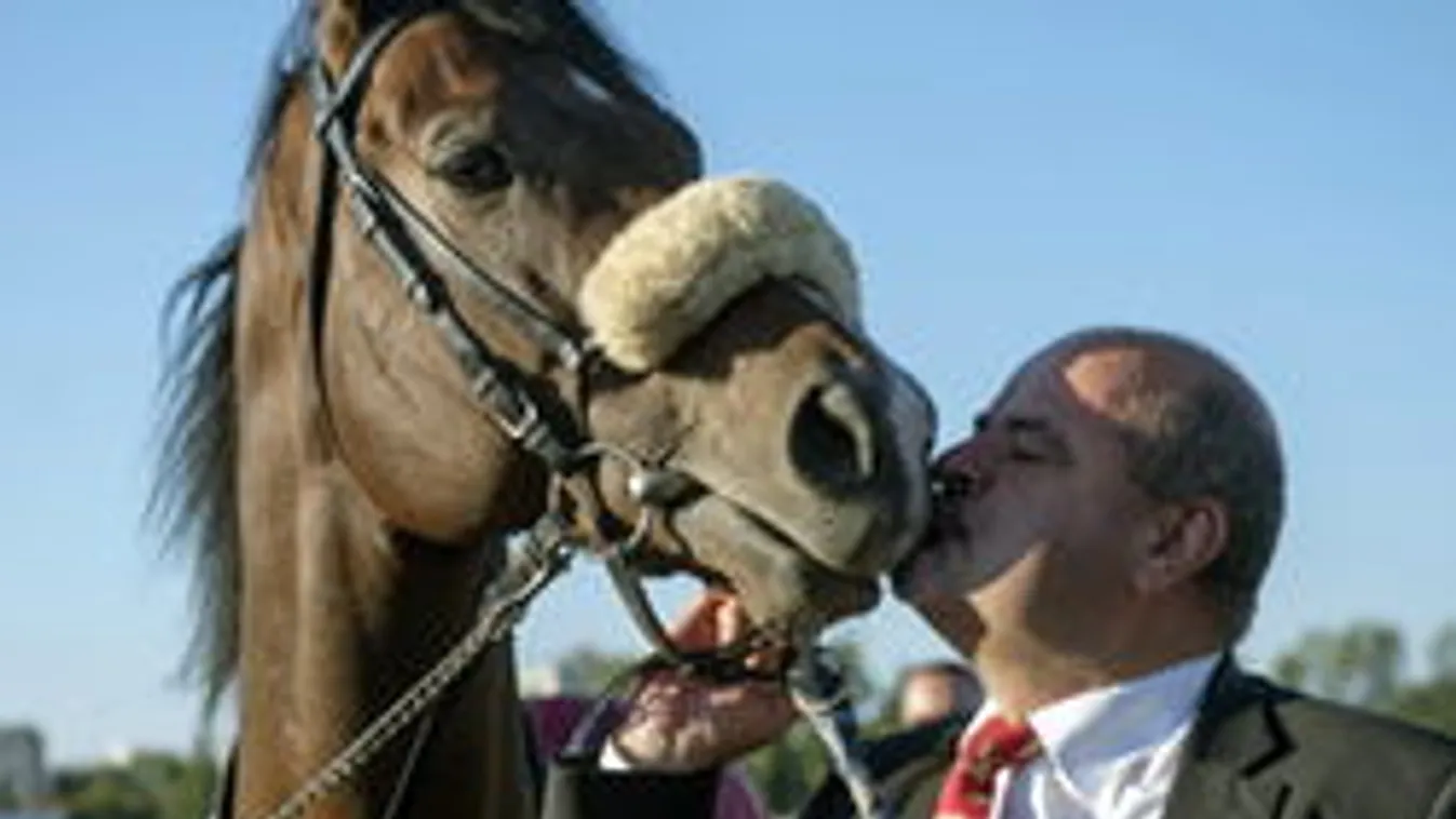 Lehet-e hozzátartozó egy ló? Dilemmák Overdose temetése kapcsán