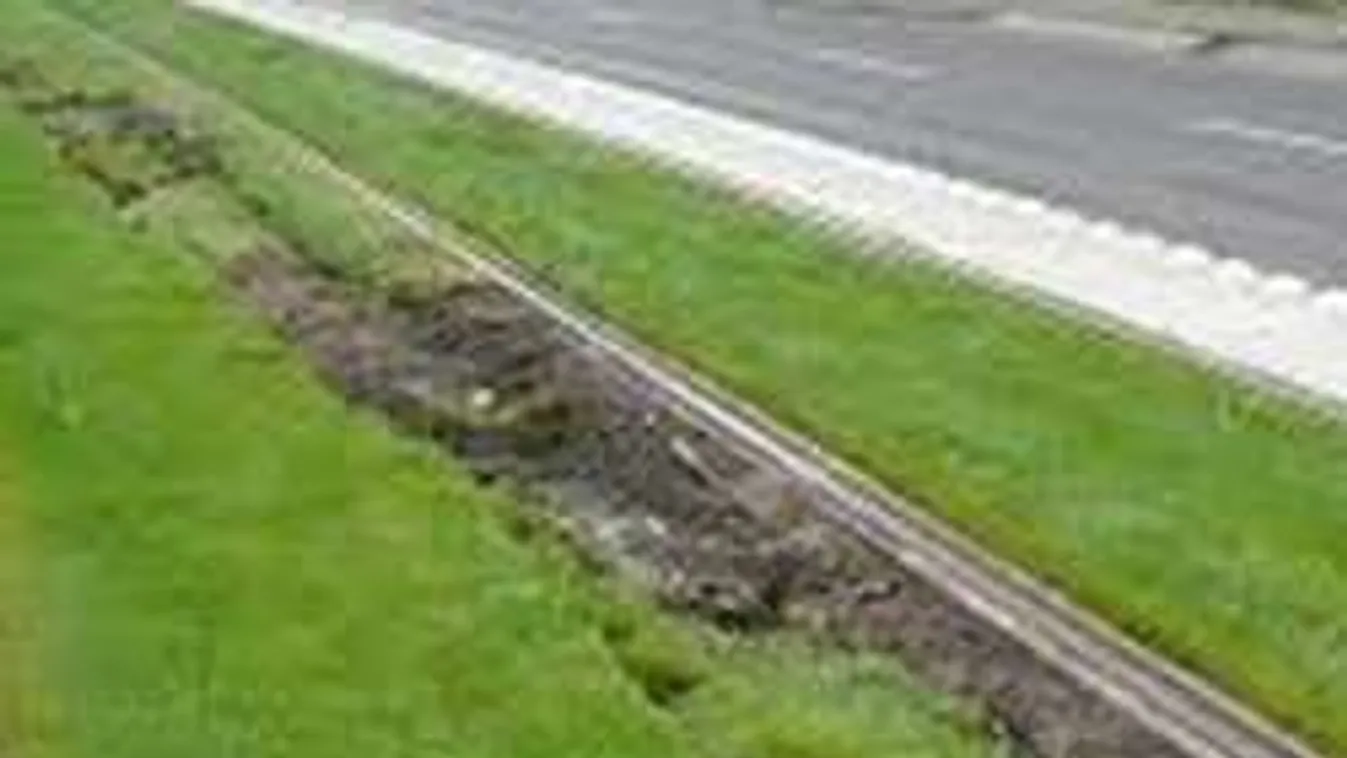 Fűért sír, célzottan csesztet Vitézy Dávid