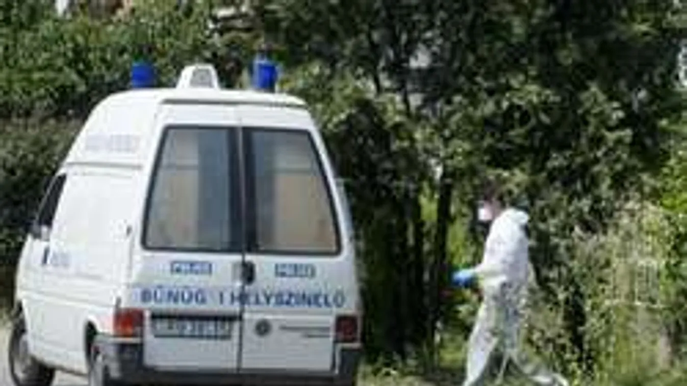 Hevesi gyerekgyilkosság: rettegett a nő az élettársától