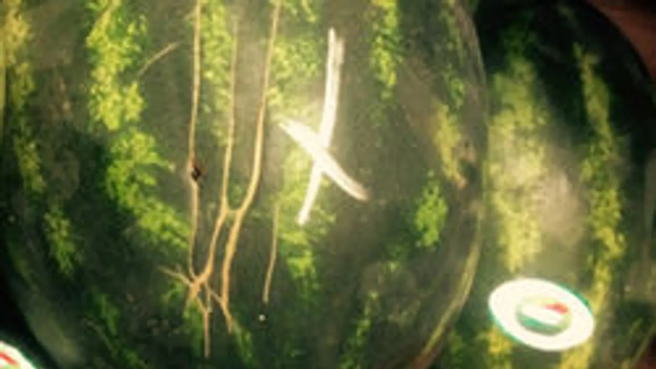 Vigyázz, átvághatnak a dinnyével! Így ismerd fel a magyar gyümölcsöt!