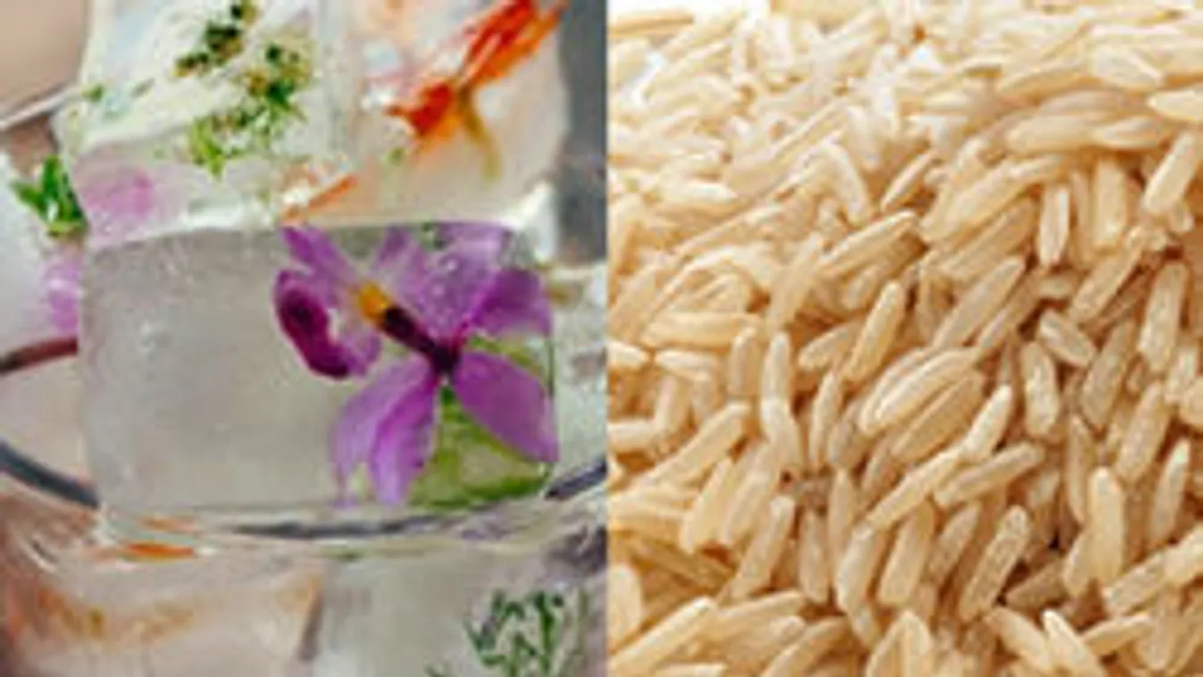 Rizs, zokni, aloe vera - meglepő és bevált túlélő tippek tikkasztó meleg ellen!