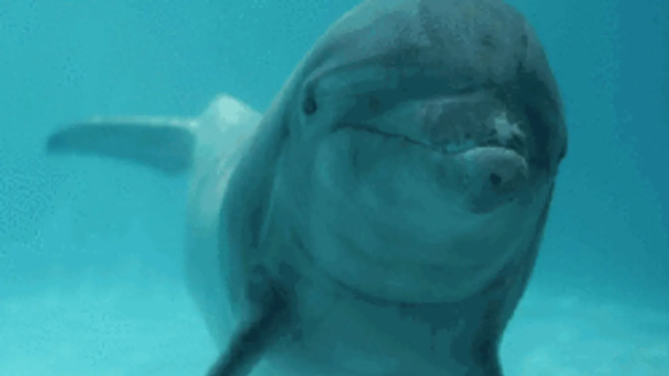 Ettől bizarrabb baleset ma már nem lesz! - Videó