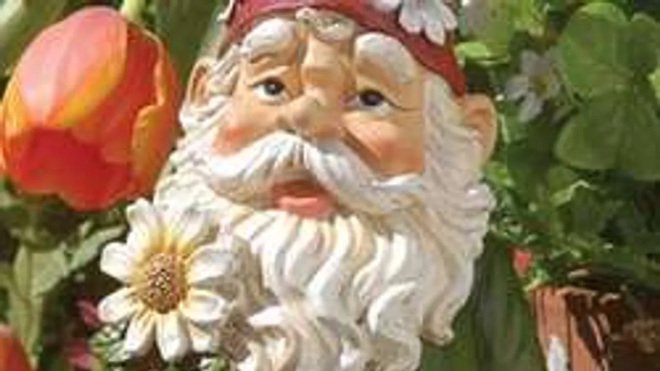 Ilyet még ma nem láttál! Tudj meg mindent a kerti törpék misztikus világáról!