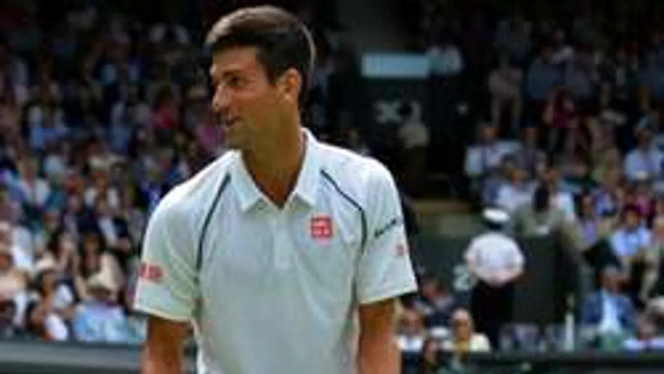 Kismadár tartotta fel Djokovicsot - fotó