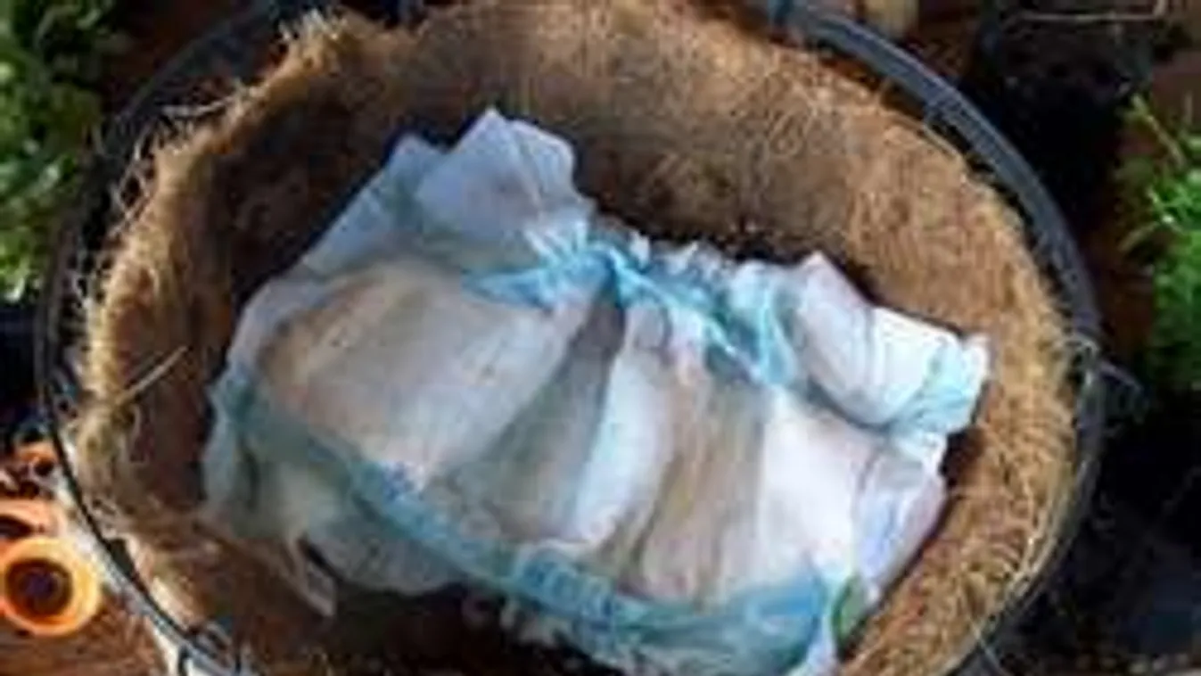 Pelenkázz szobanövényt!