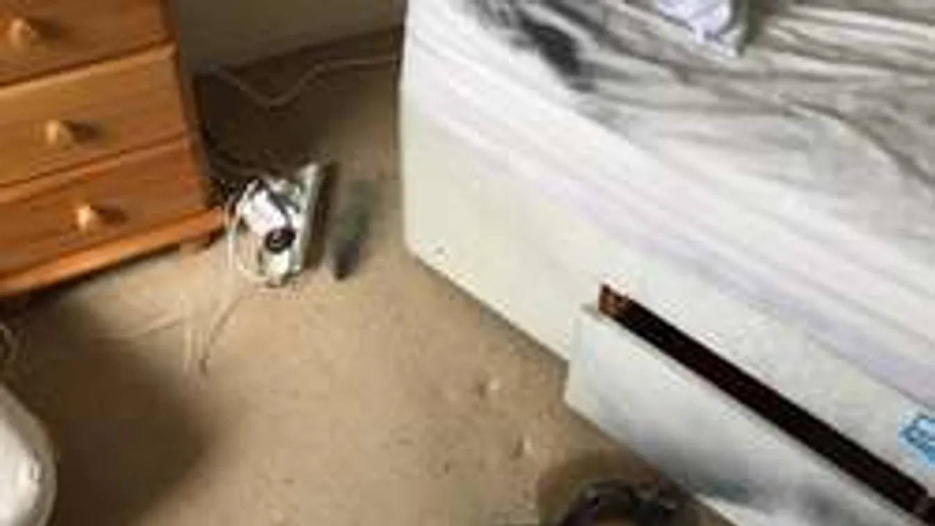 Felrobbant a mobiltöltő, durván megégett a diáklány