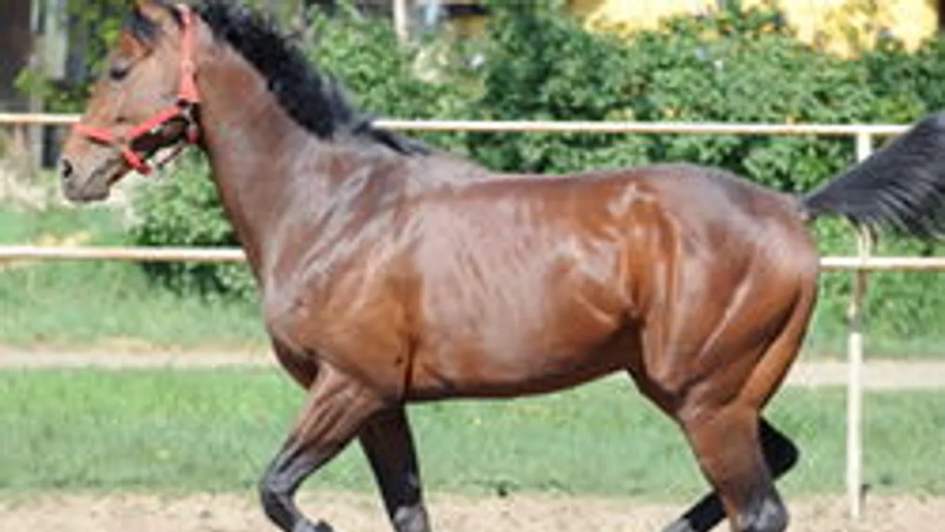 Overdose halála tragédia az országnak! Milyen utódokat hagy maga után?