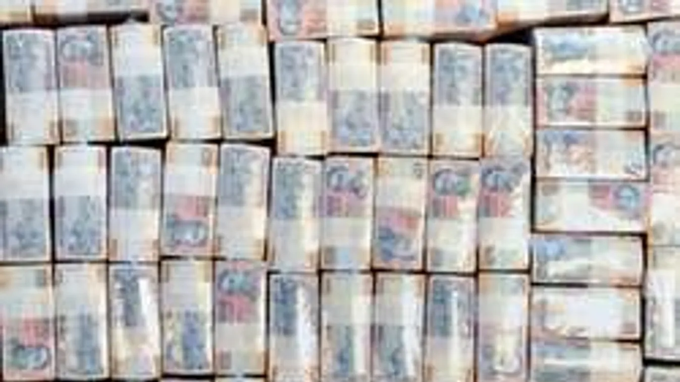 Nyolc éven keresztül vette fel halott testvére támogatását