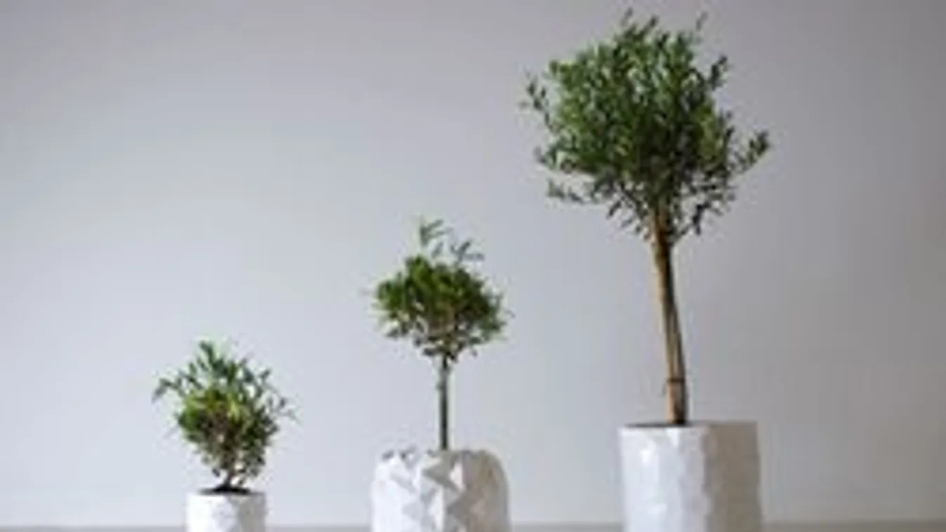 Láttál már ilyet? Cserép, ami együtt nő a virágaiddal!