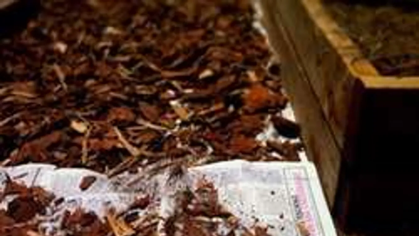 Gondoltad volna? Újságpapírral gyomot is irthatsz!