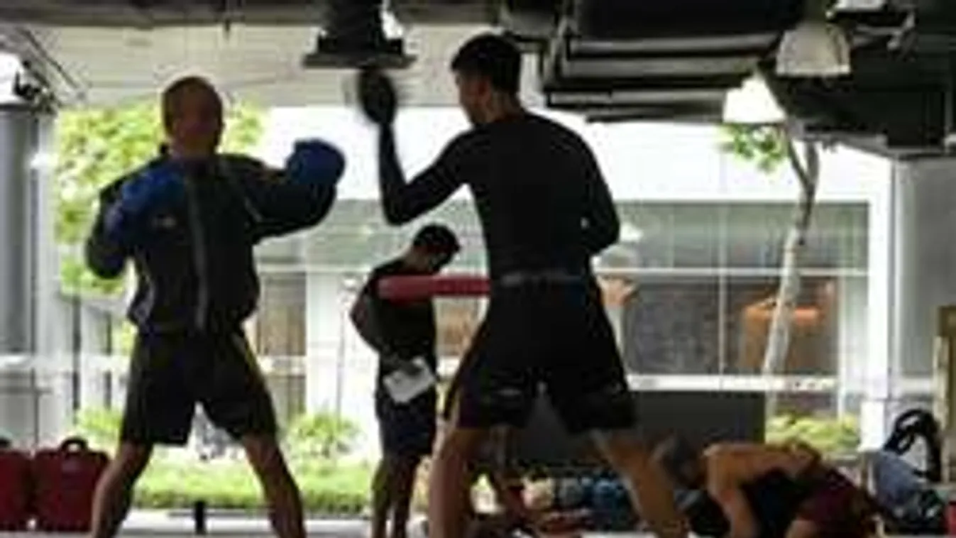 Micsoda bravúr! Vak bunyós veri a látókat - videó