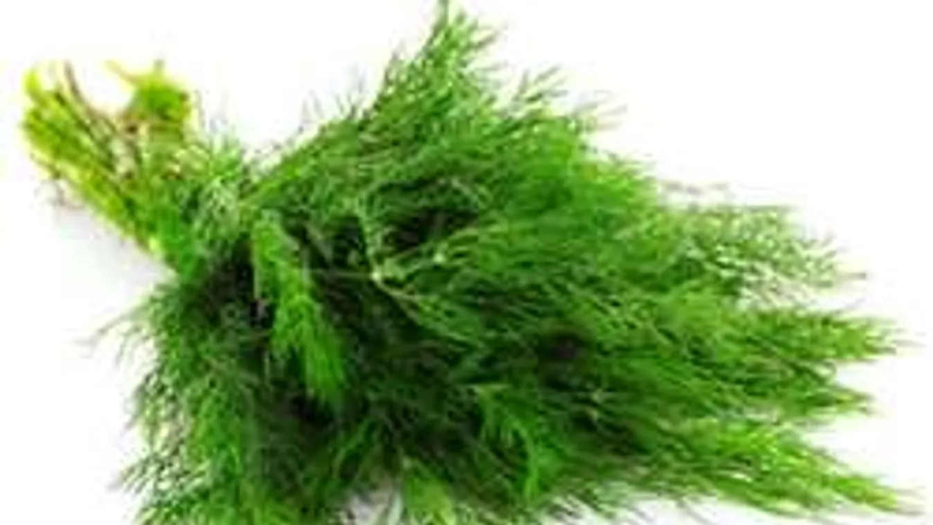 Van otthon kaprod? Életmentő lehet!