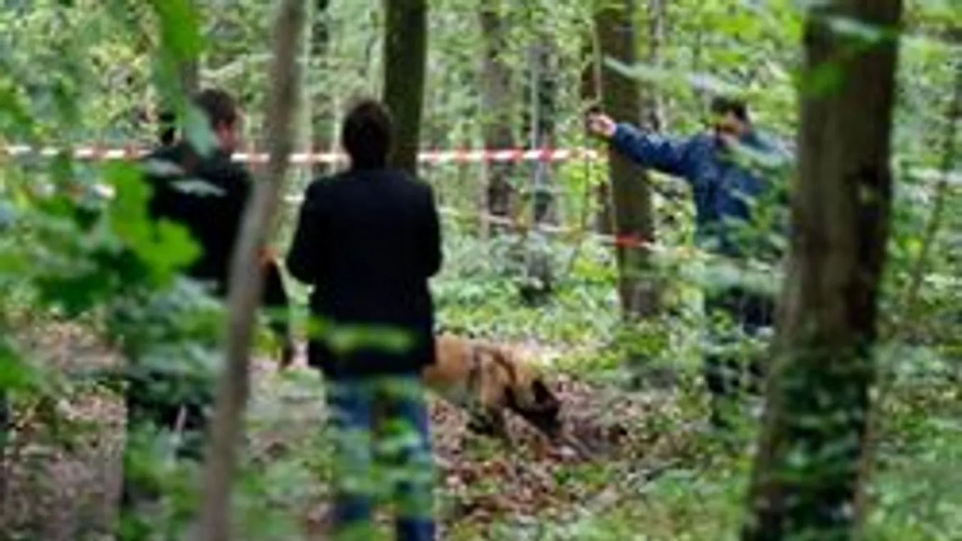 Tisztánlátó segítségével találták meg az eltűnt bácsit