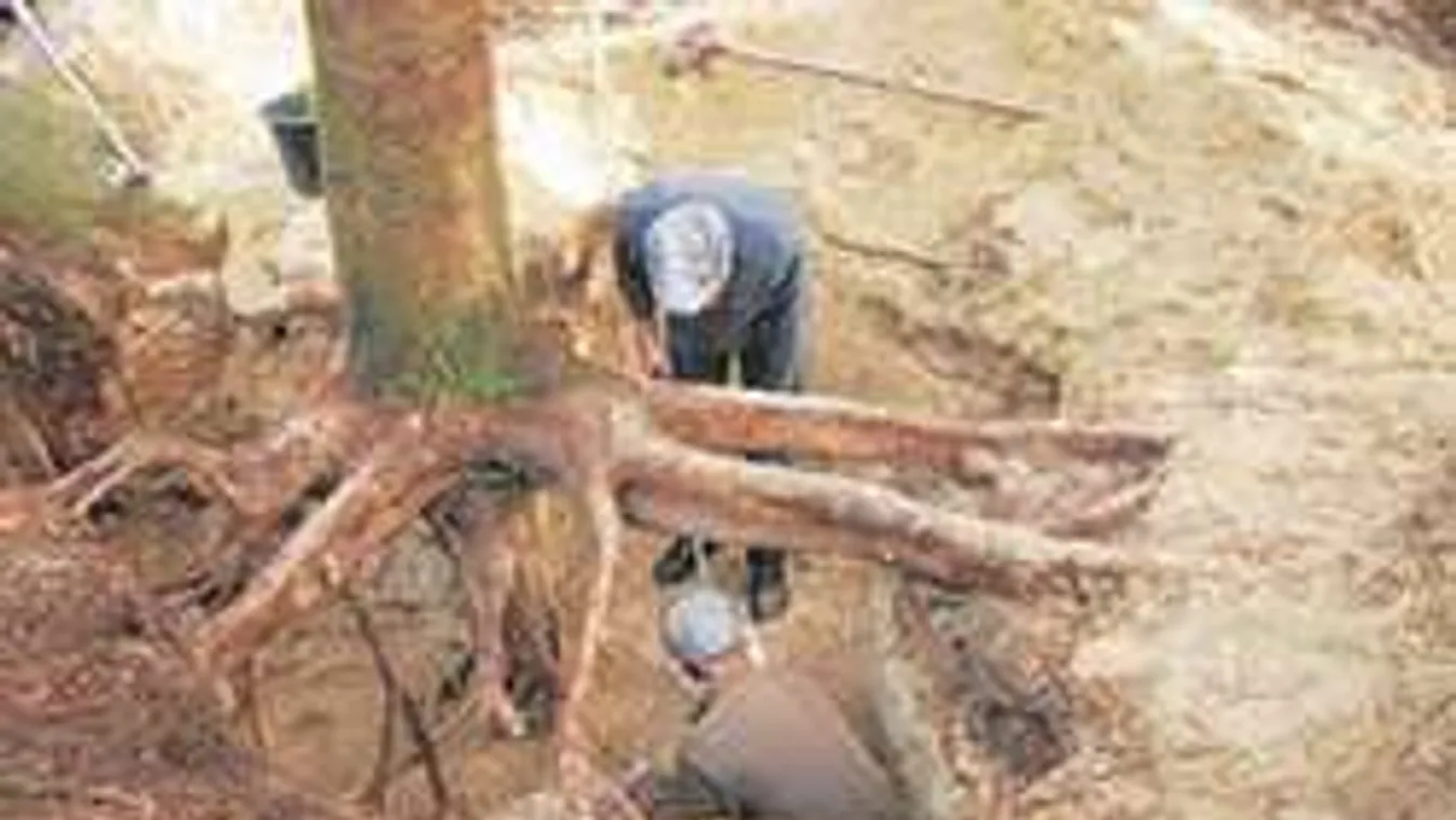 Megtalálta a nácik elrabolt kincsét egy kezdő kincsvadász