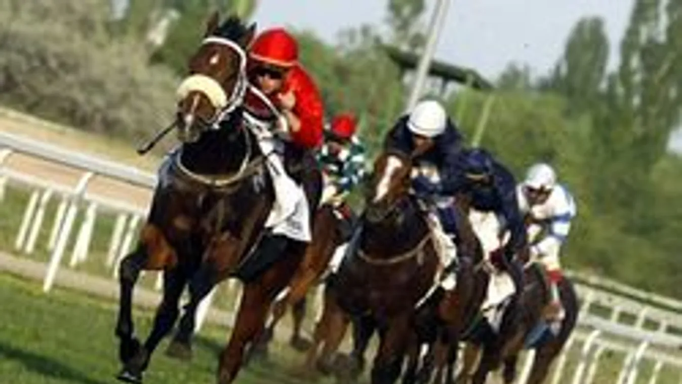 Bin Ladennek akarták elnevezni Overdose-t! 9 érdekesség a csodalóról