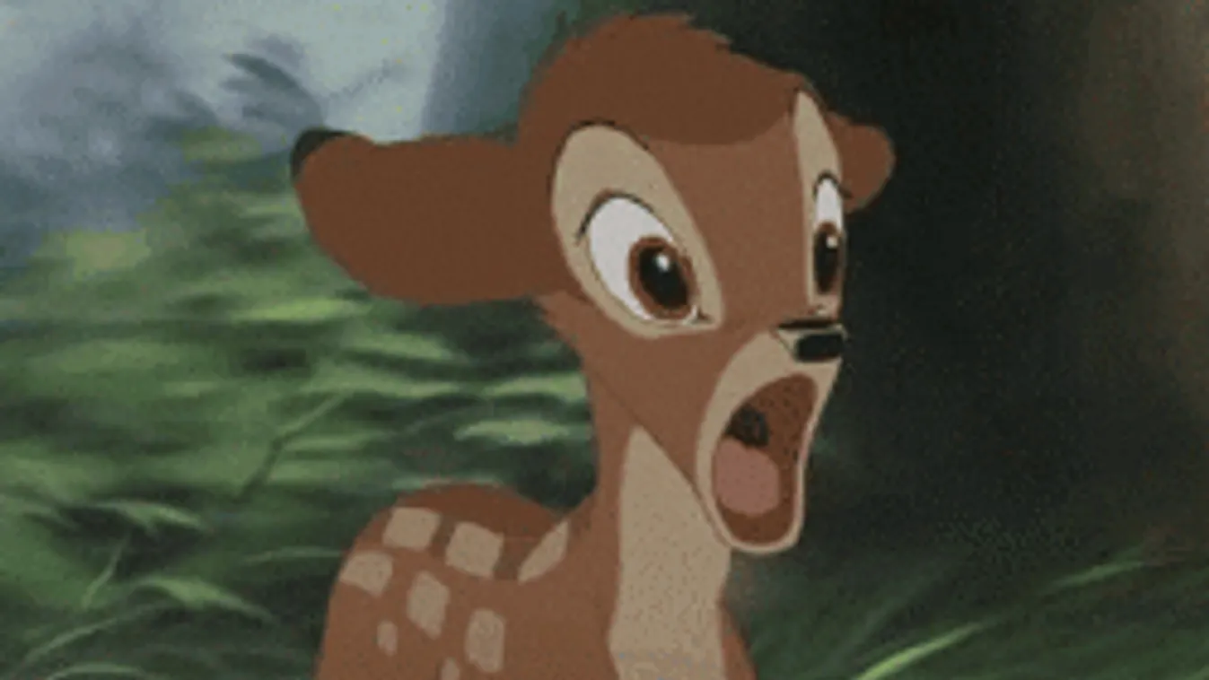 Õzikét mentettek a tűzoltók Ráckevén