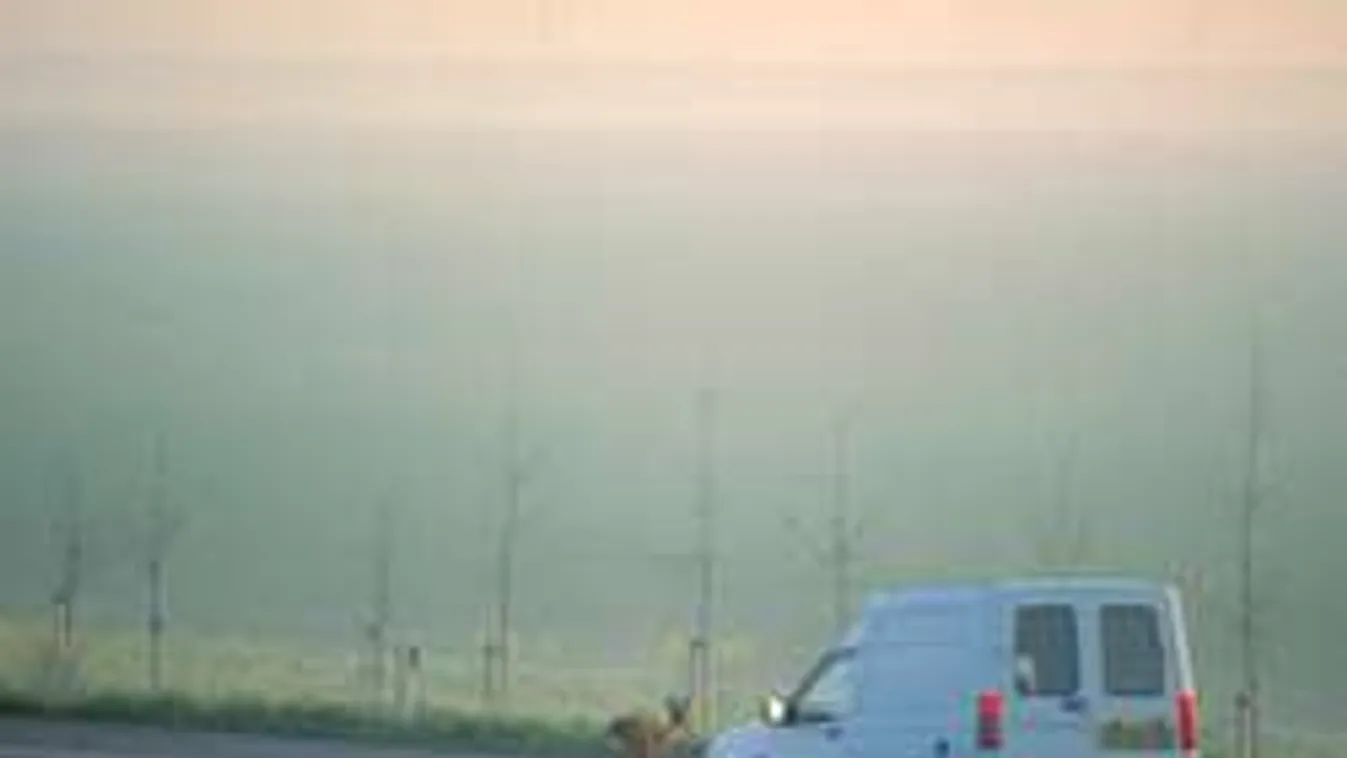 Óvakodj a szerelmes őzektől! Egymillióba is kerülhet az ütközés