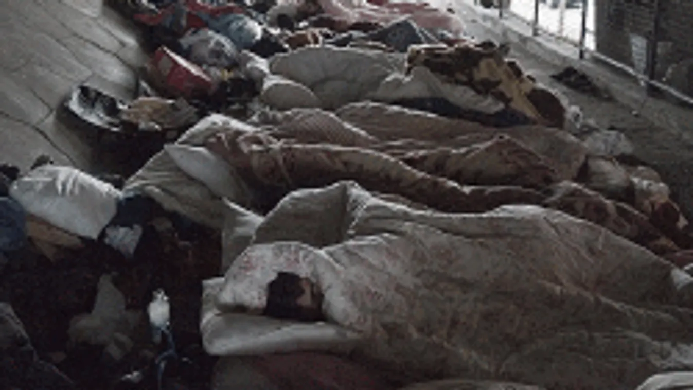 Behurcolhatnak-e járványokat a bevándorlók?  Mekkora a veszély?