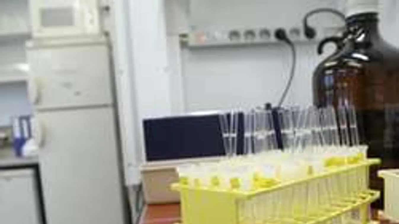 Gyulai: Óriási botrány lehet! Az atlétikai vezető földindulástól tart