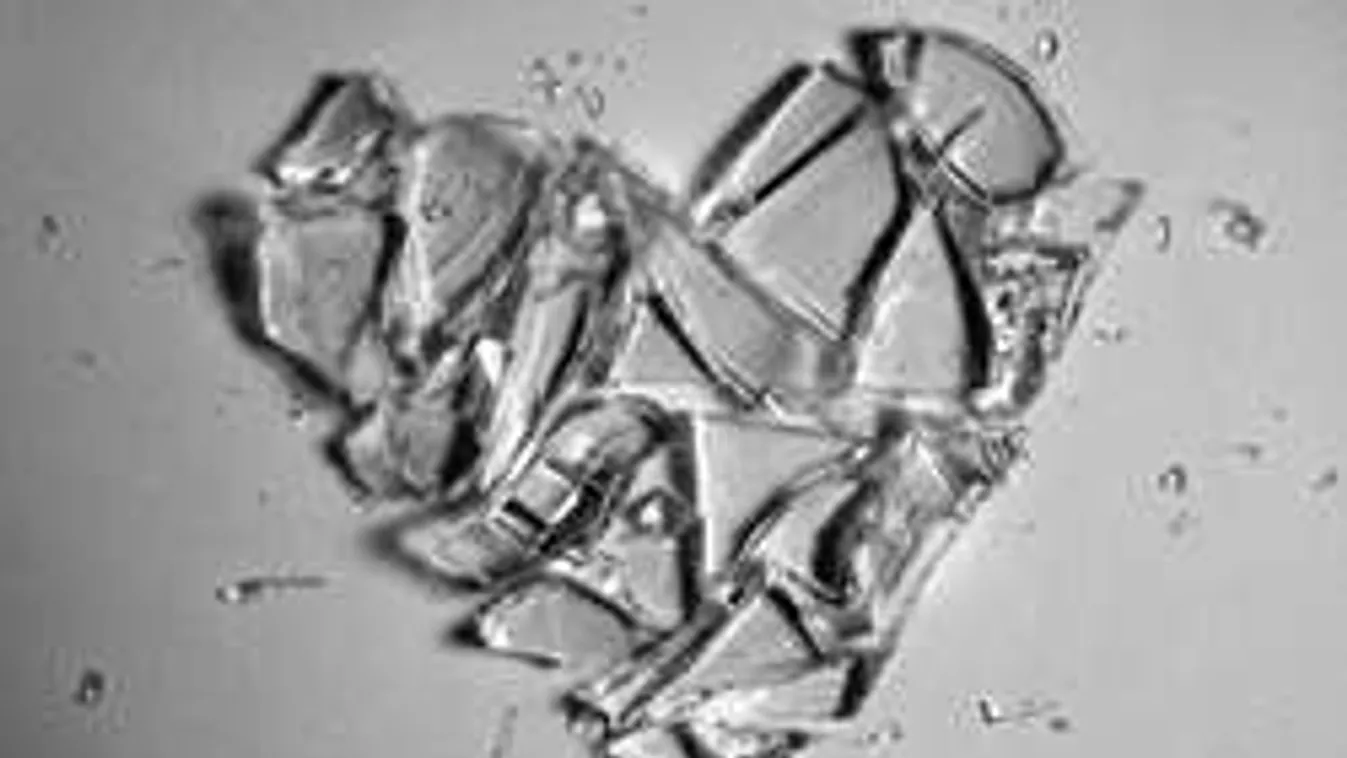 Plátói szerelem miatt akart öngyilkos lenni egy munkás