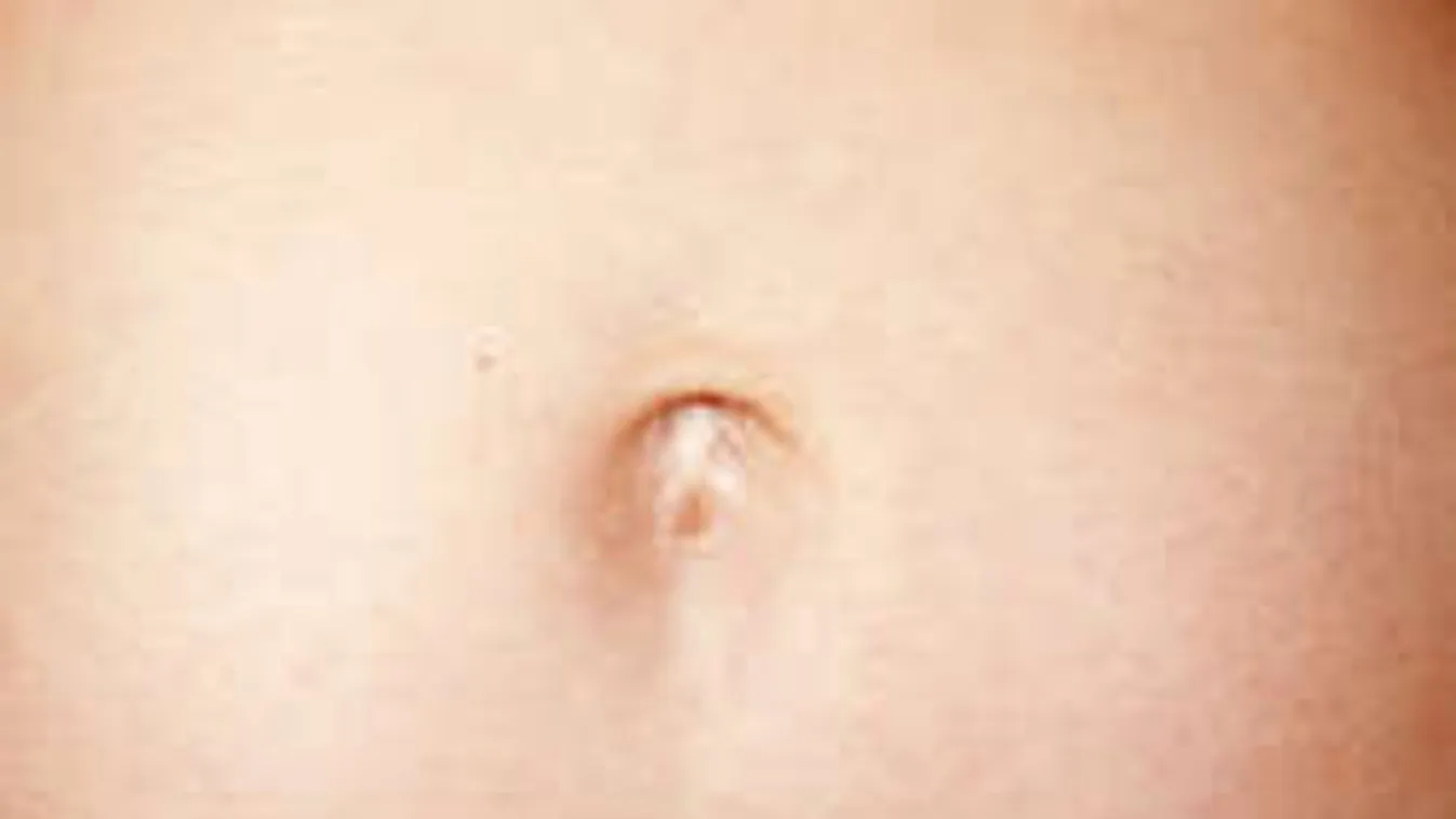 Nem hiszed el, miből készül a legocsmányabb sajt!