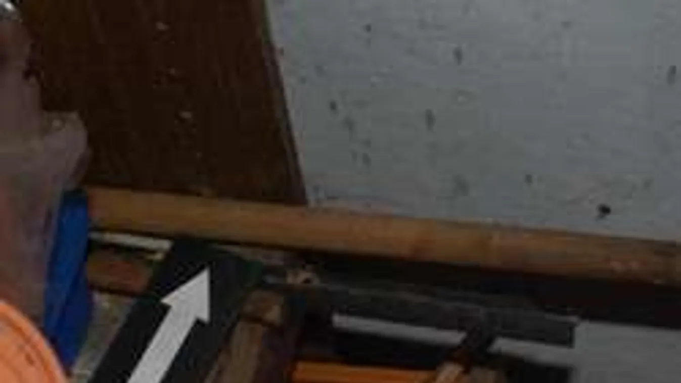 Sodrófával ütötte le anyja támadóját a 14 éves fiatal