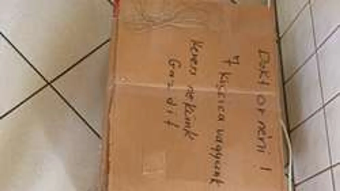 Állatkínzó macskagyilkost keresnek Debrecenben! - Videó!