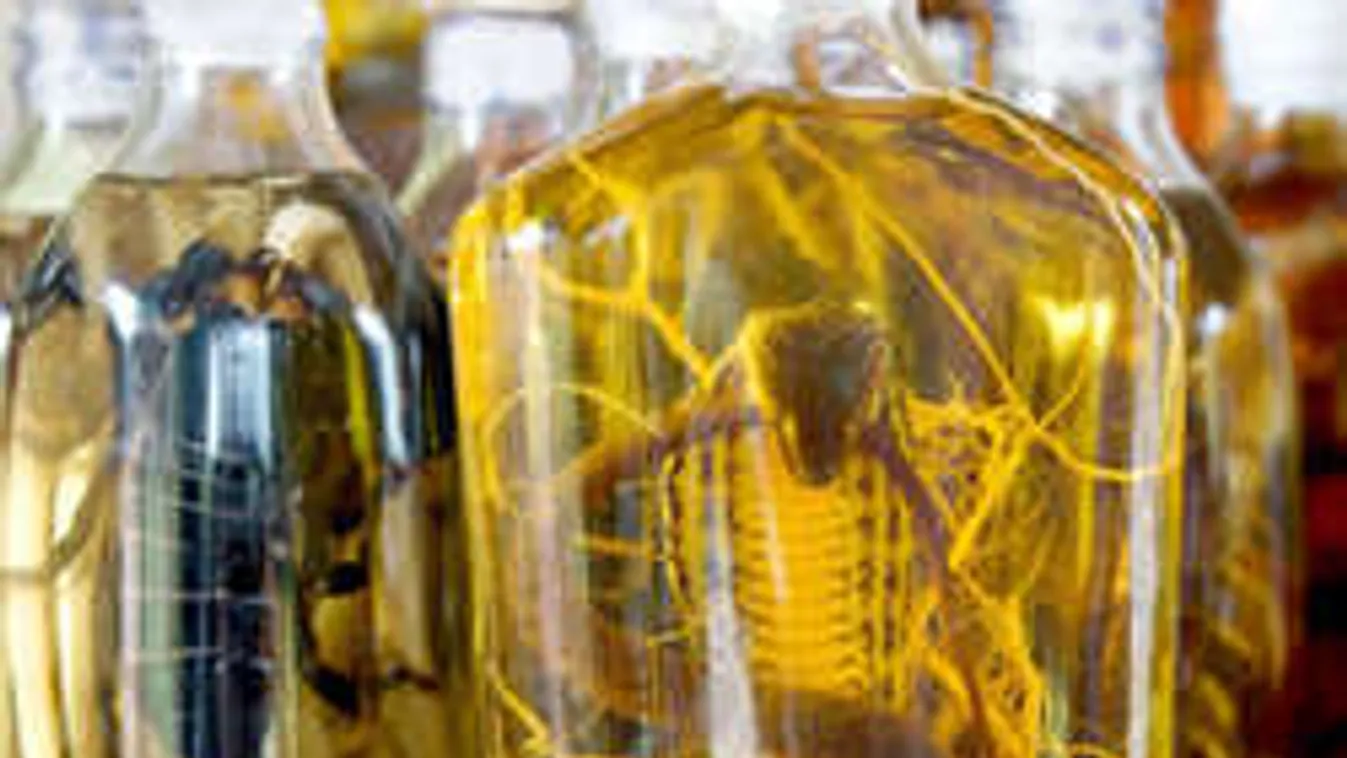 Vadító levek: a legfurcsább italok a nagyvilágból