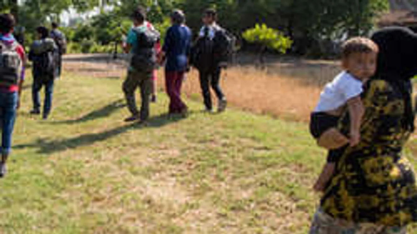 Szeméthegyek, feltört tanyák, legázolt vetemények a déli határon