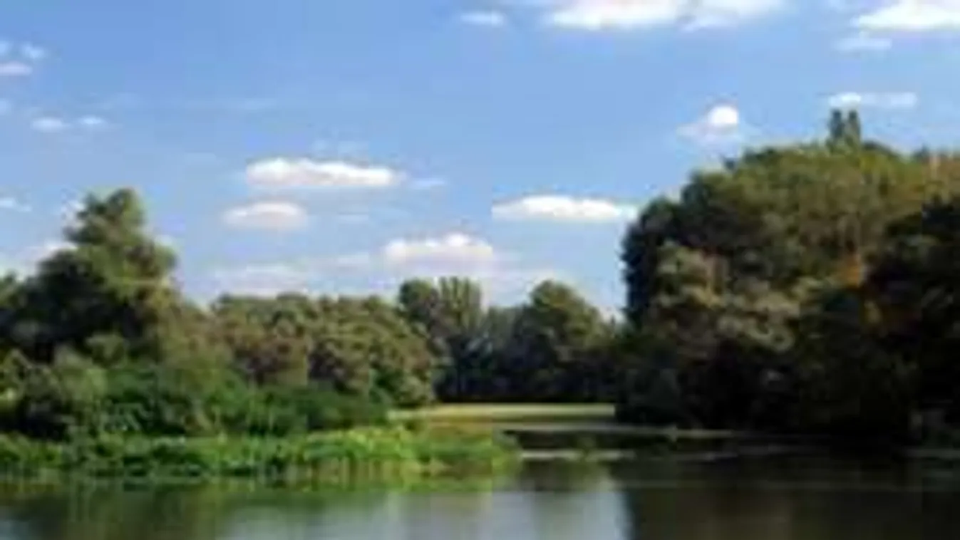 Labdájáért ugrott a Körösbe és azonnal elmerült a fiú