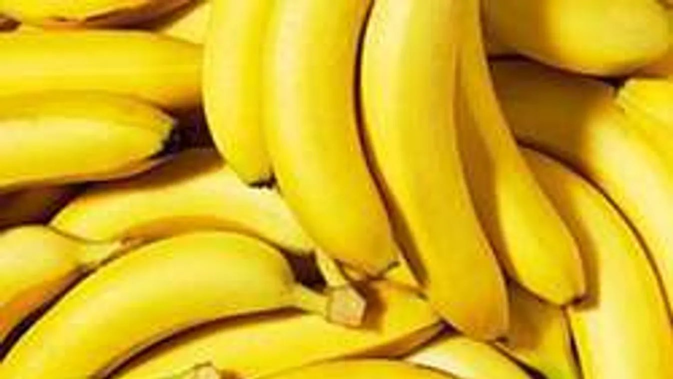 Ébredés után támadj diétával: a legjobb zsírégető reggelik