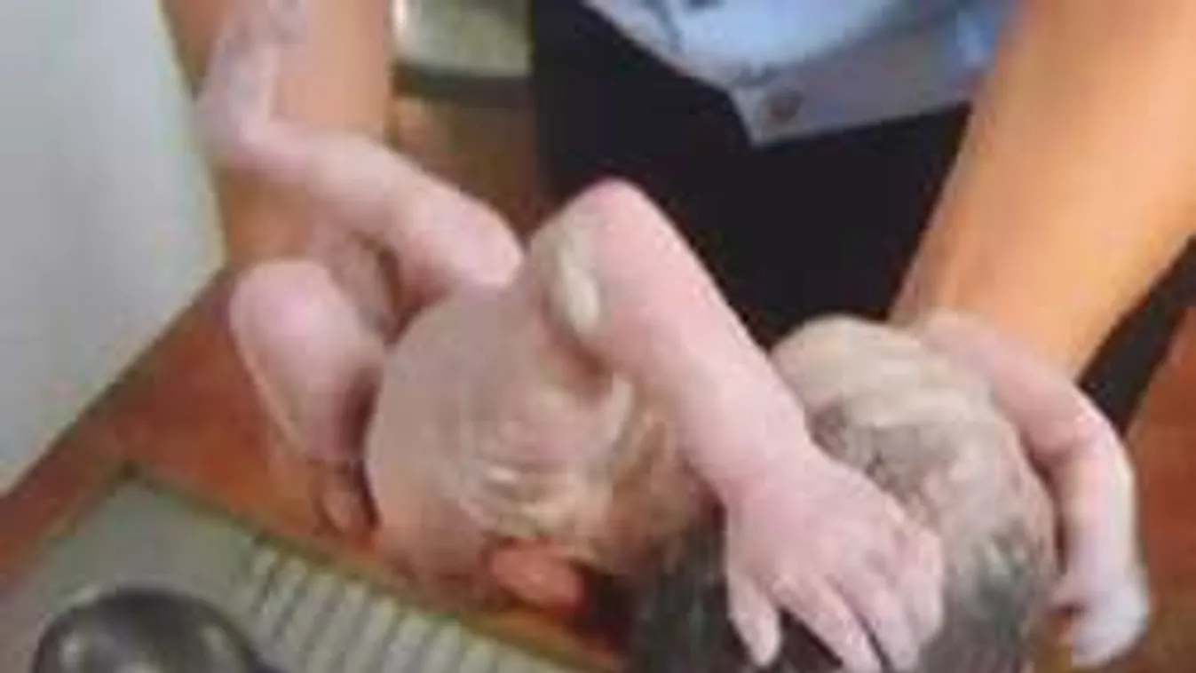 Milyen anya az, aki élve lehúzza a gyerekét a vécébe?