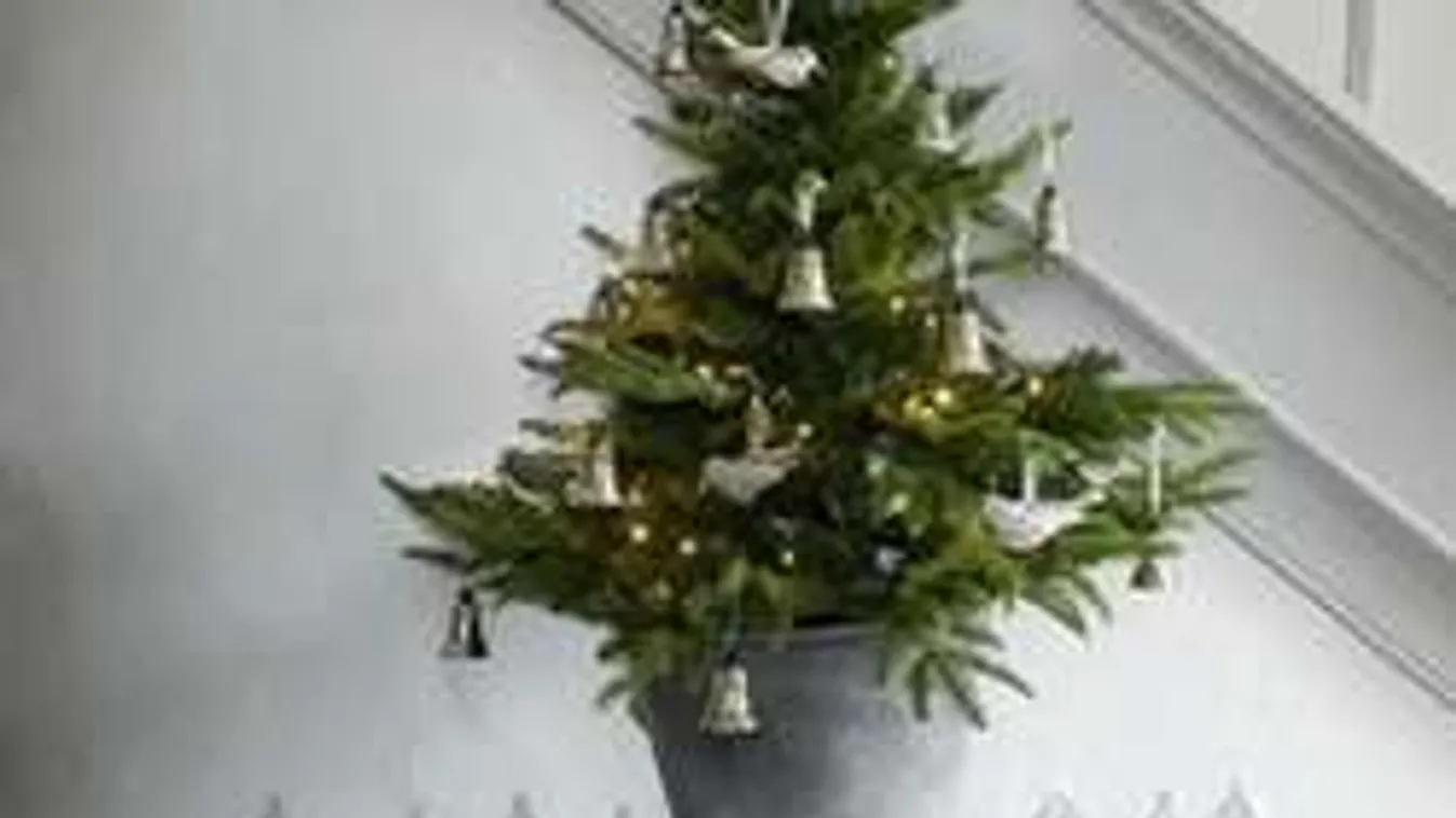 Így lesz hosszú életű a karácsonyi fenyő!