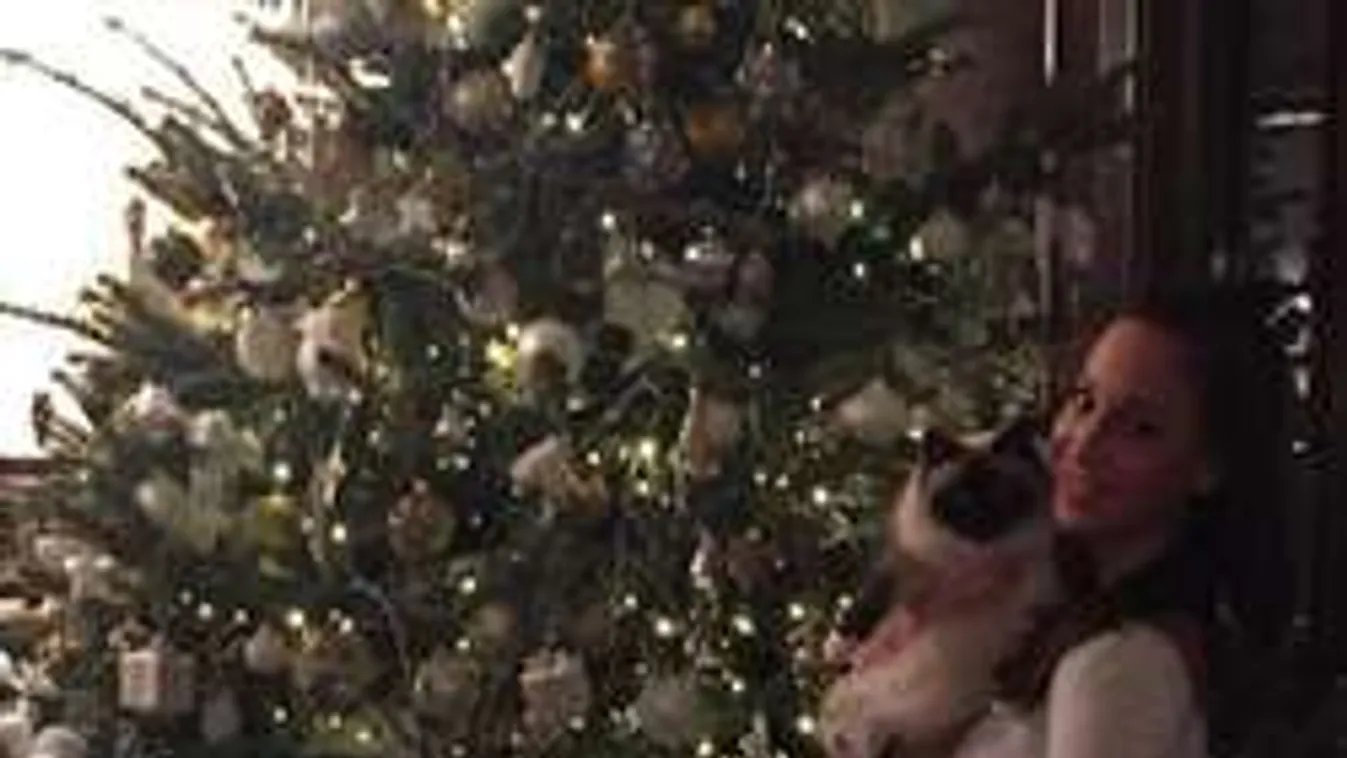 Vajna Timi túlzásba vitte a karácsonyt!