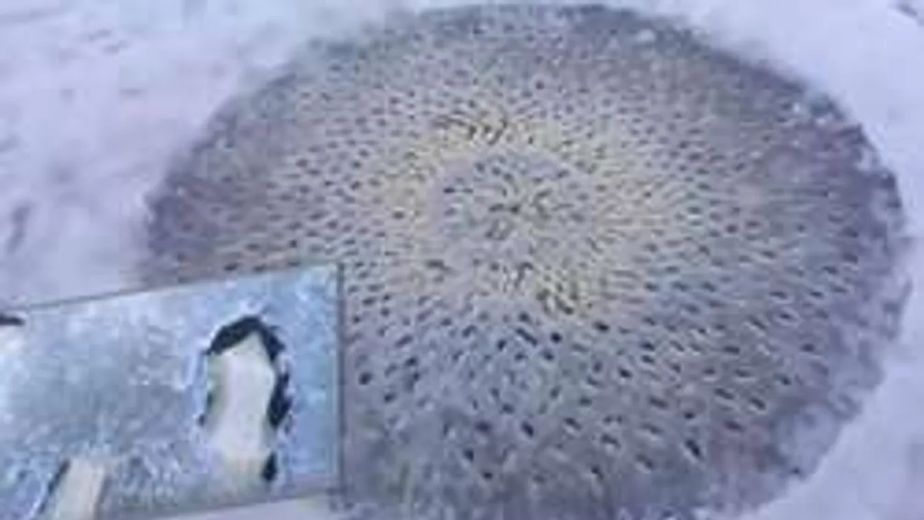 Ragacsos ufótojásokat találtak egy tó jegén!