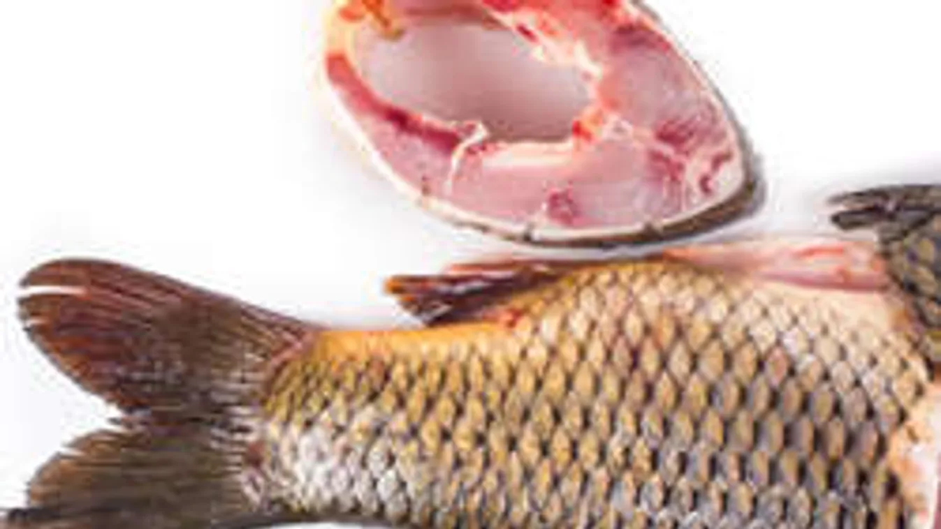 Halat vennél karácsonyra? Erről ismered meg, hogy friss-e!