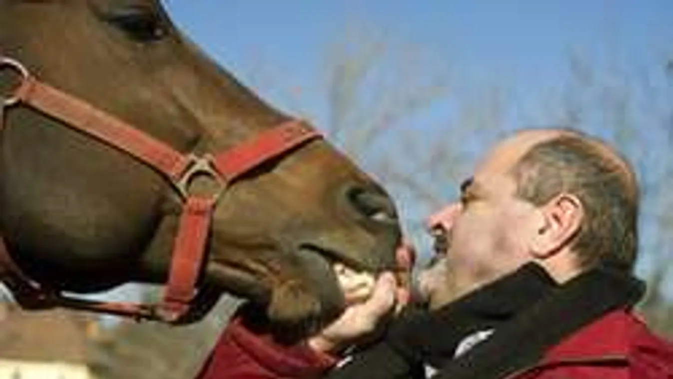 Így temetik el a csodalovat, Overdose-t