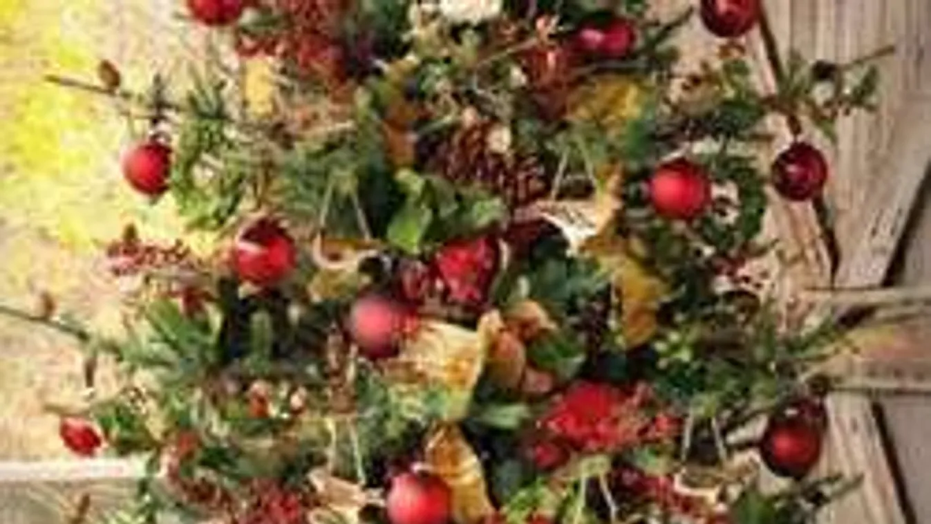 Sokkoló igazság a műfenyőkről! Megdöbbentő tények...