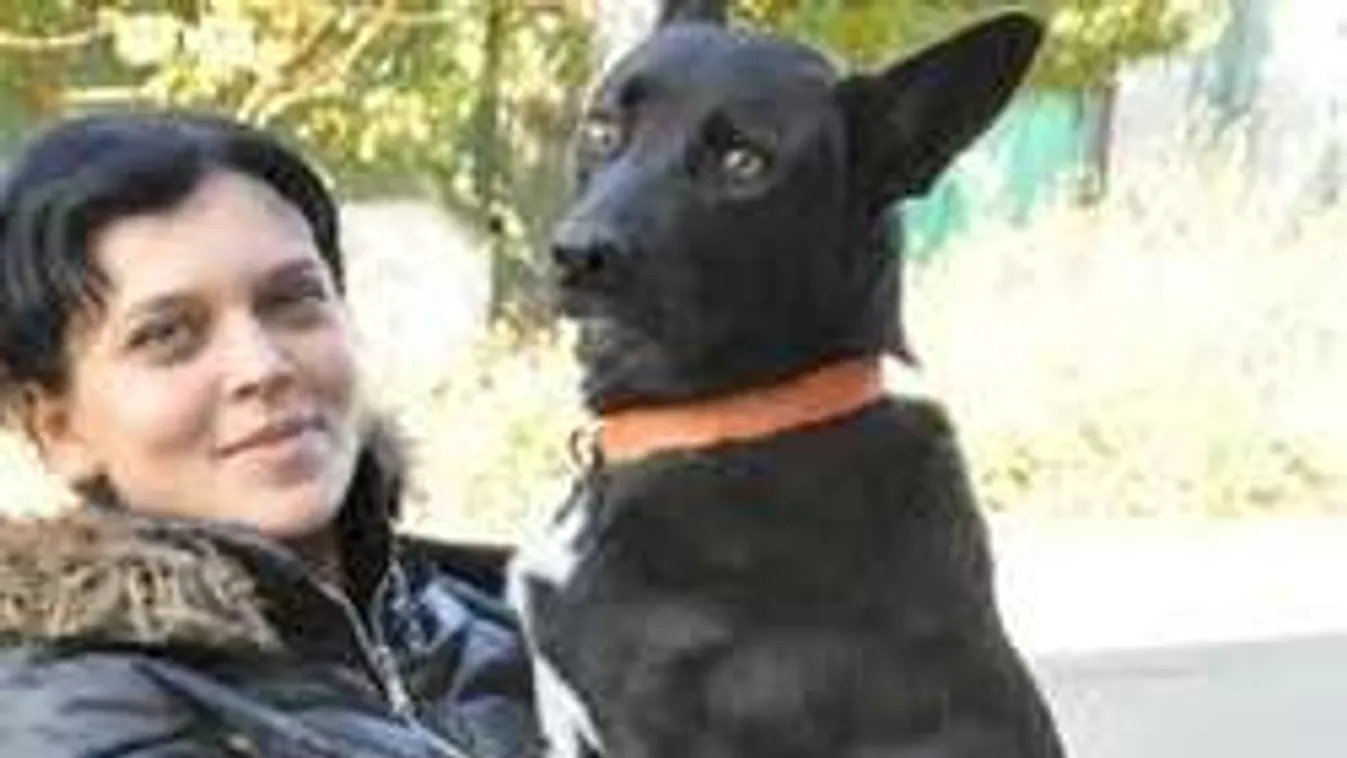 Egy kutya sok száz kilométert vándorolt, hogy megtalálja megmentőjét