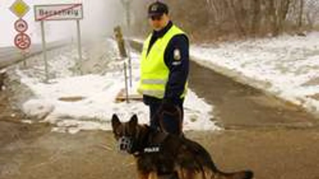 Így ment életeket Balu, a magyar keresőkutya