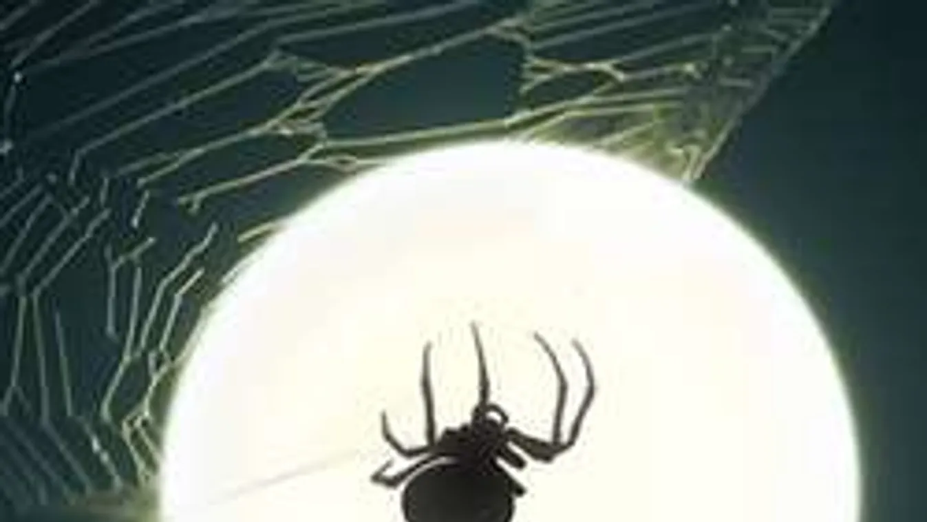 A világ legfurább karácsonyi szokásai